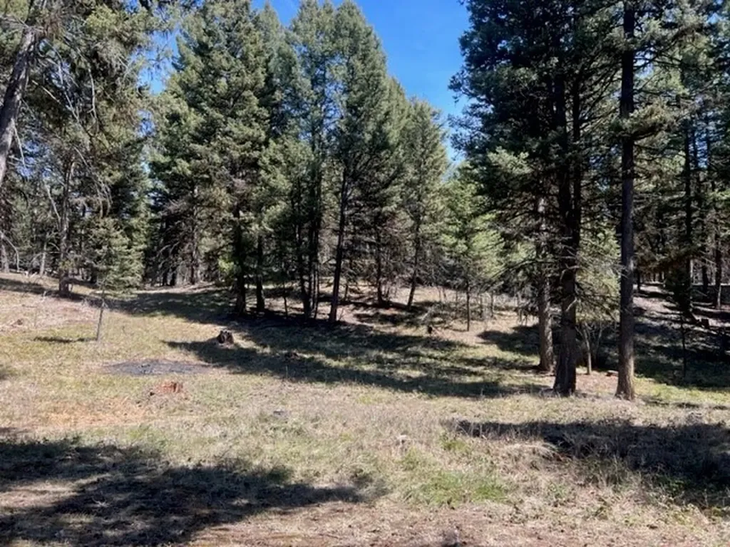 990 Elkhorn Road Seeley Lake MT 59868