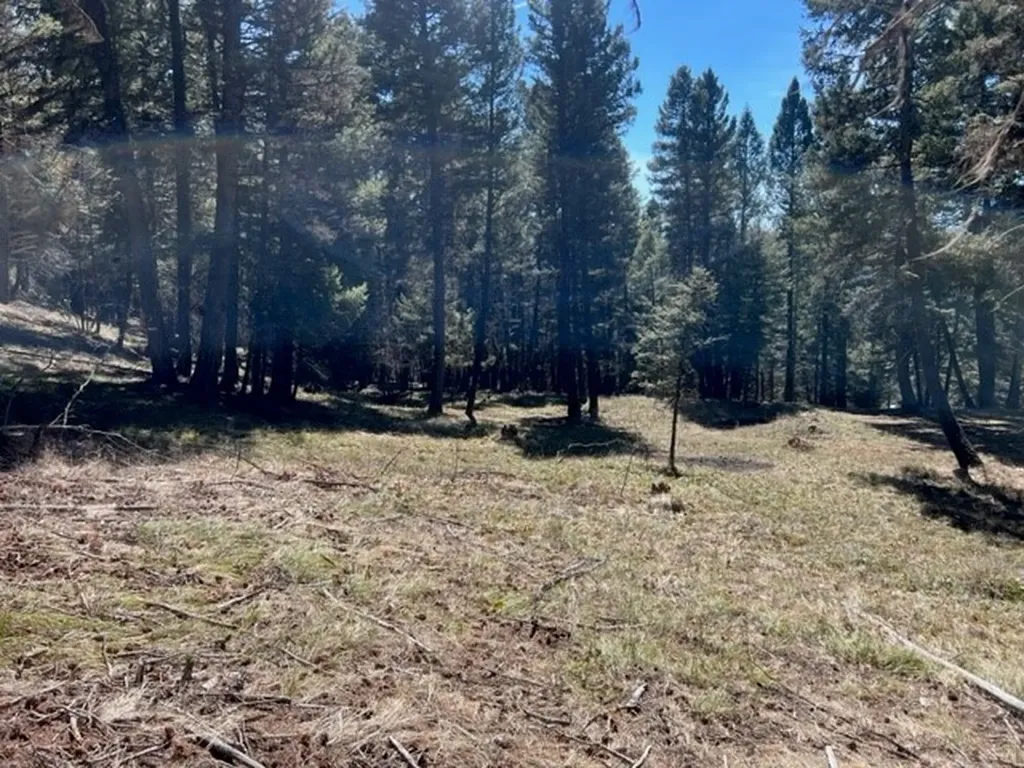 990 Elkhorn Road Seeley Lake MT 59868