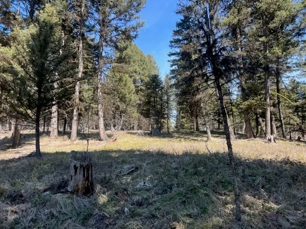 990 Elkhorn Road Seeley Lake MT 59868