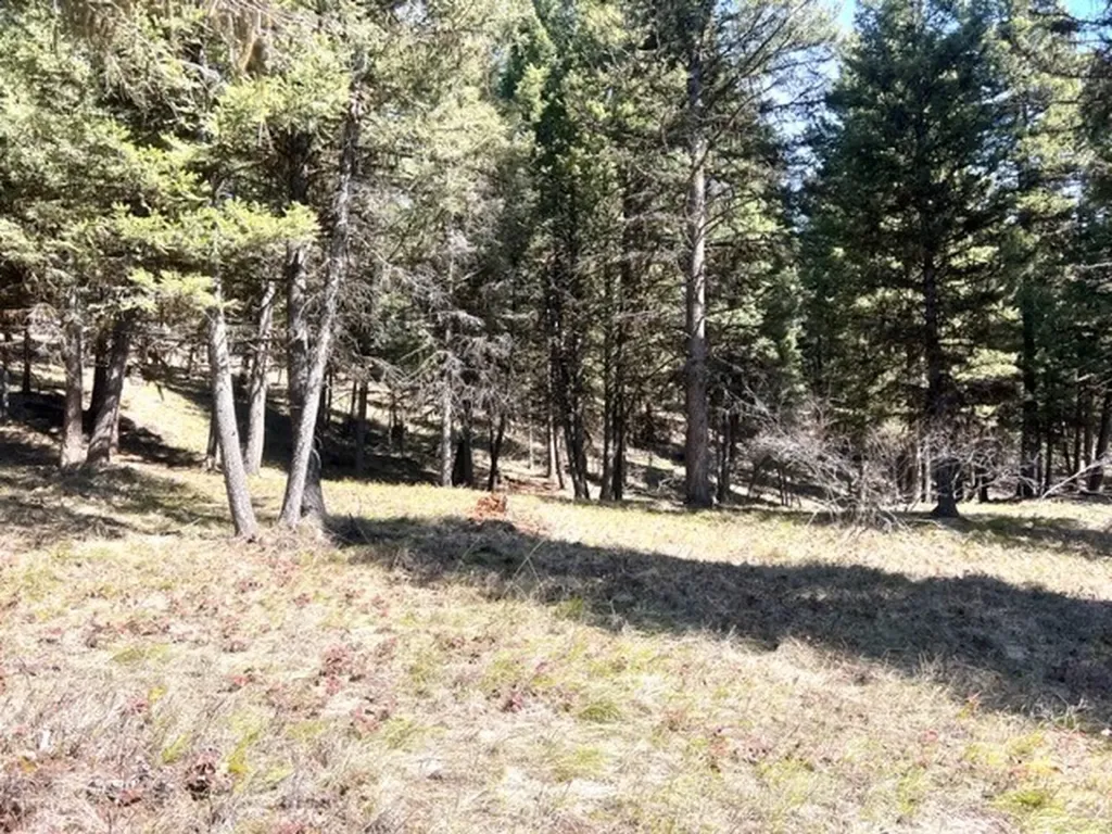 990 Elkhorn Road Seeley Lake MT 59868