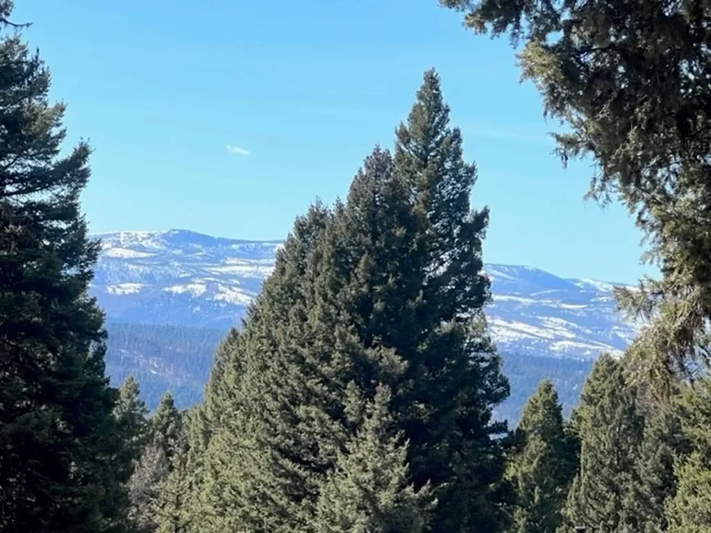 990 Elkhorn Road Seeley Lake MT 59868