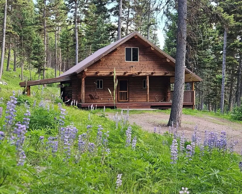 1250 Bitterroot Drive Seeley Lake MT 59868