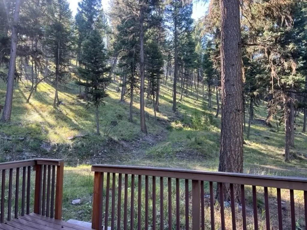 1250 Bitterroot Drive Seeley Lake MT 59868