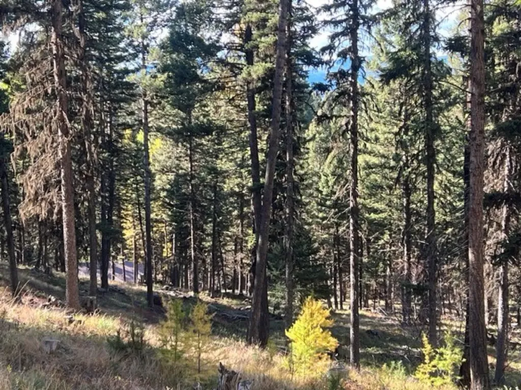 1250 Bitterroot Drive Seeley Lake MT 59868