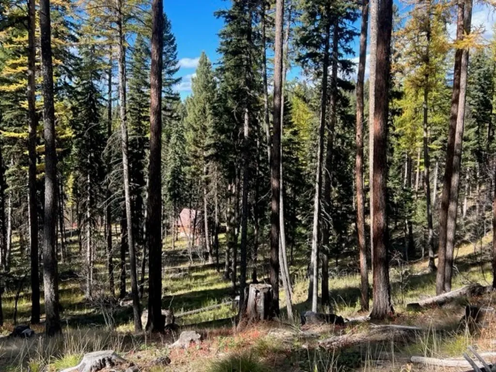 1250 Bitterroot Drive Seeley Lake MT 59868