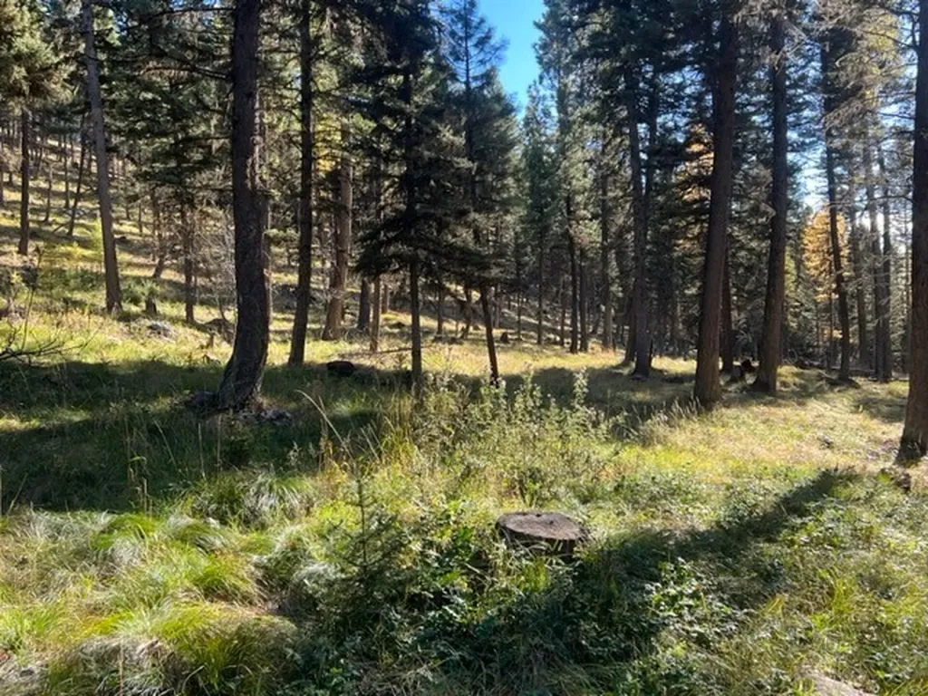 1250 Bitterroot Drive Seeley Lake MT 59868