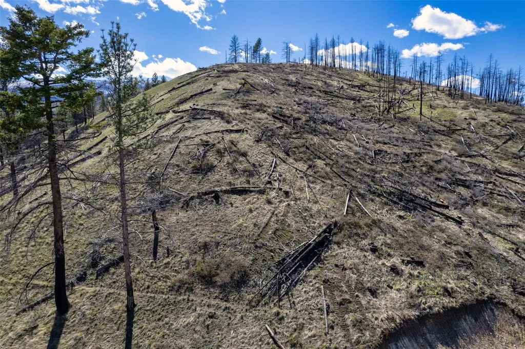 15100 Rock Ridge Road Florence MT 59833