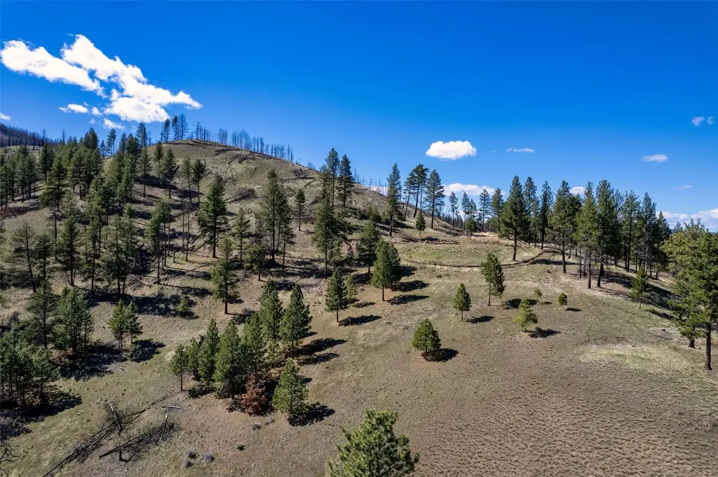 15100 Rock Ridge Road Florence MT 59833
