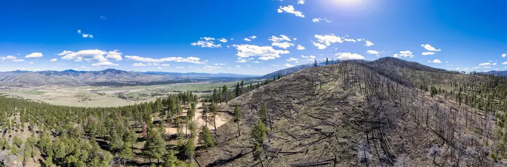 15100 Rock Ridge Road Florence MT 59833