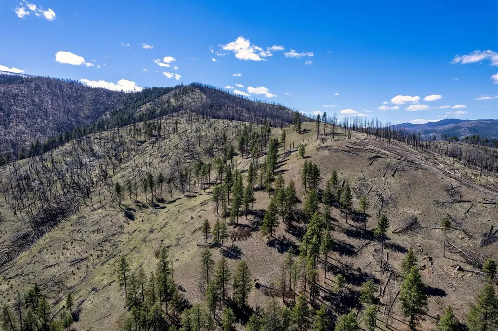 15100 Rock Ridge Road Florence MT 59833