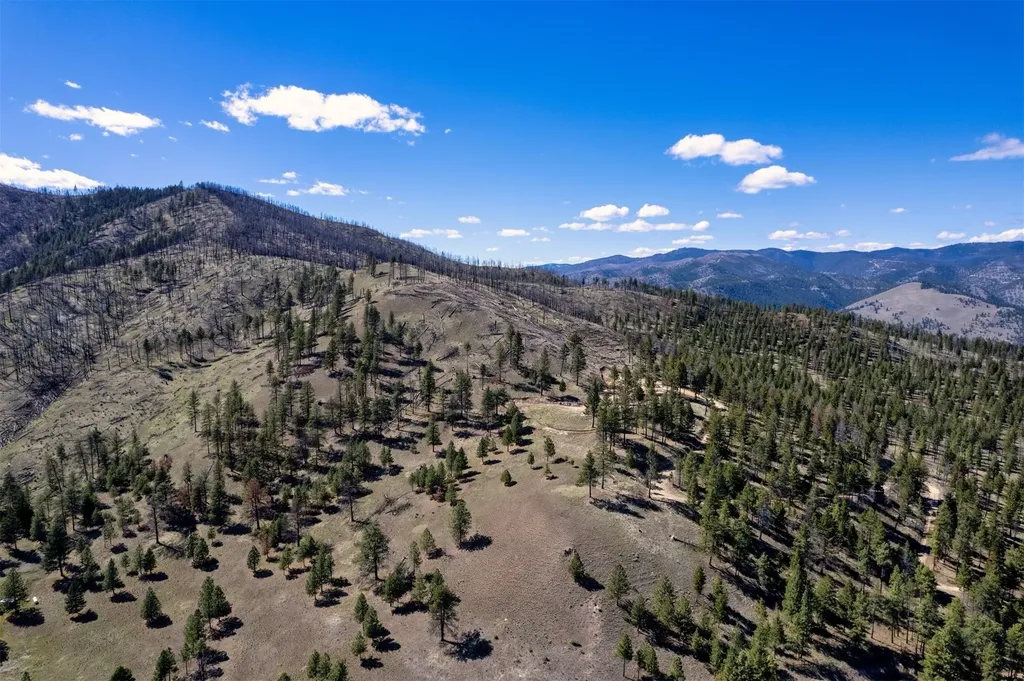 15100 Rock Ridge Road Florence MT 59833