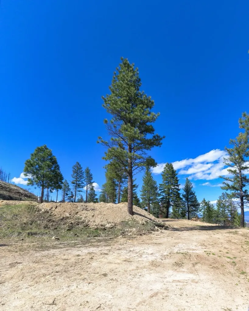 15100 Rock Ridge Road Florence MT 59833