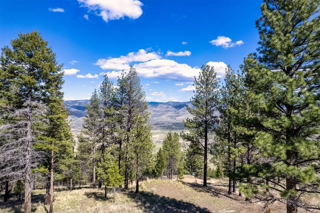 15100 Rock Ridge Road Florence MT 59833