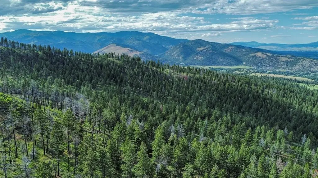 15100 Rock Ridge Road Florence MT 59833