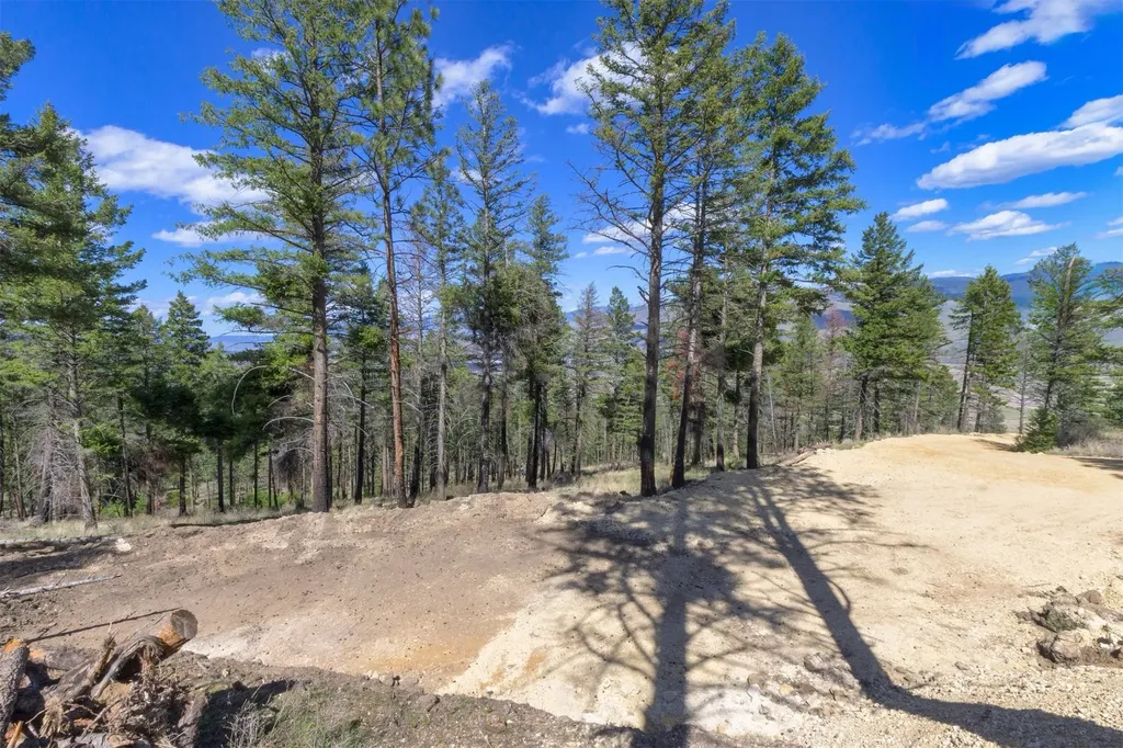 15100 Rock Ridge Road Florence MT 59833