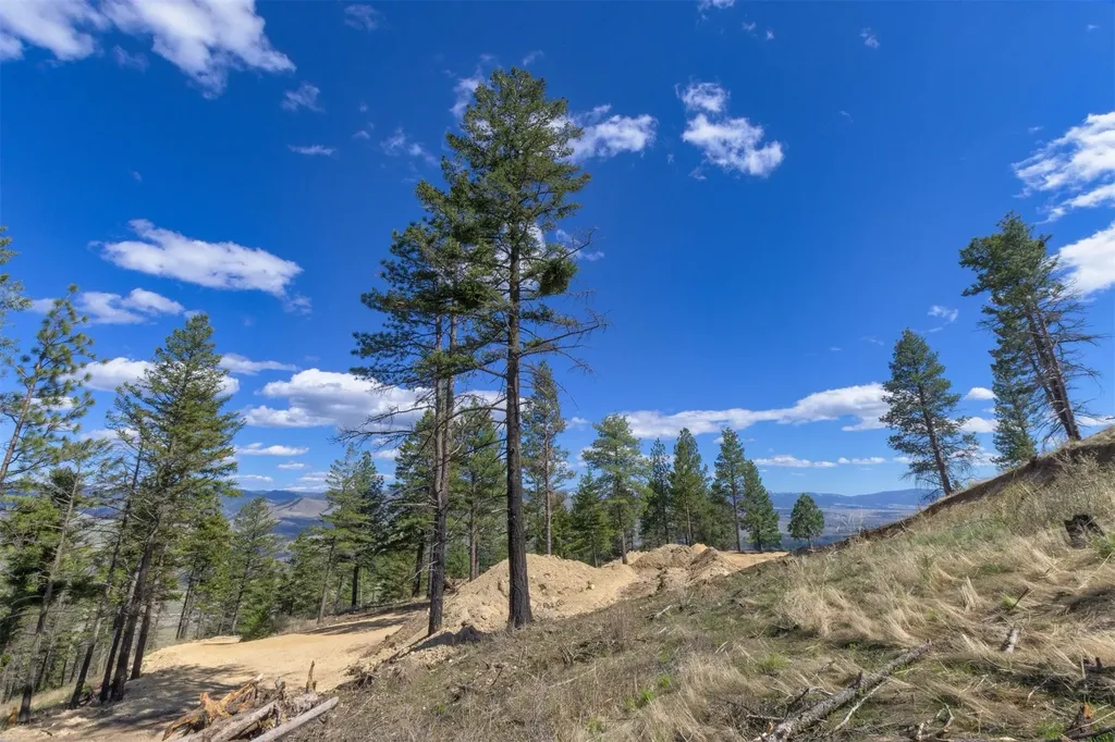 15100 Rock Ridge Road Florence MT 59833