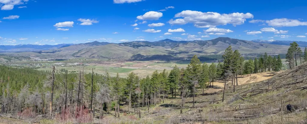 15100 Rock Ridge Road Florence MT 59833