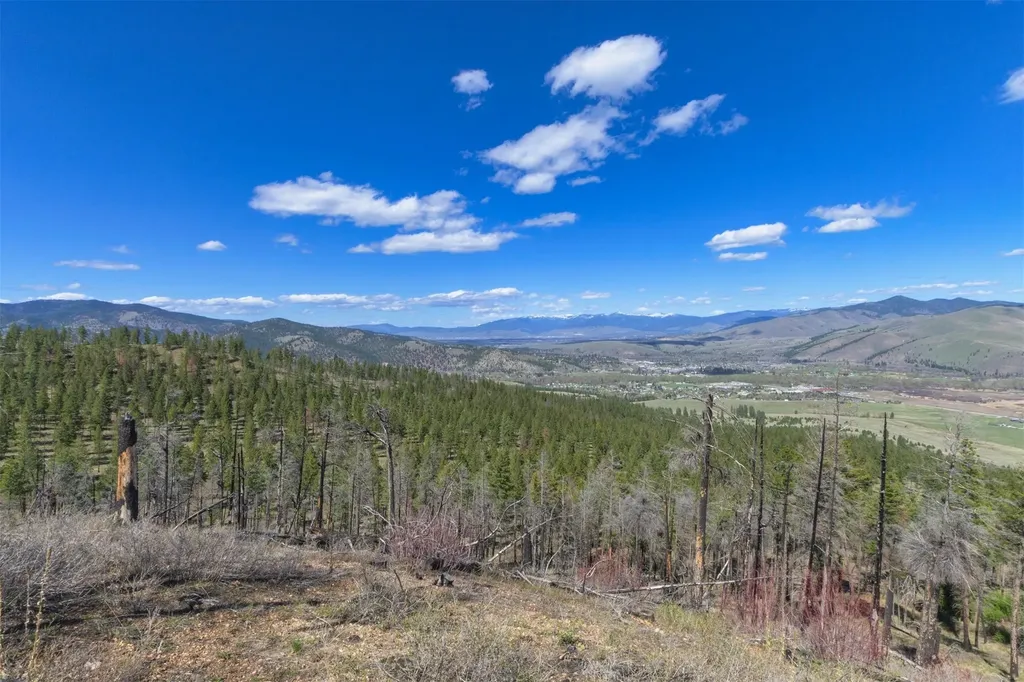 15100 Rock Ridge Road Florence MT 59833