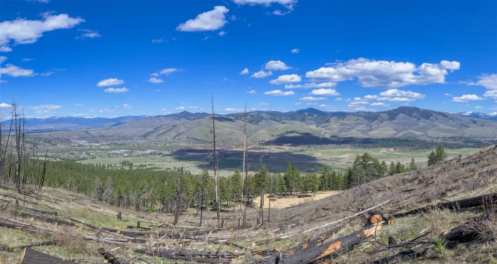 15100 Rock Ridge Road Florence MT 59833