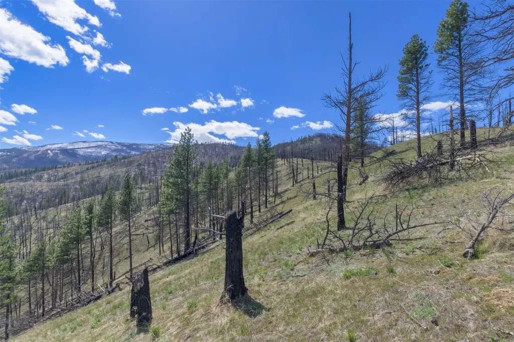 15100 Rock Ridge Road Florence MT 59833