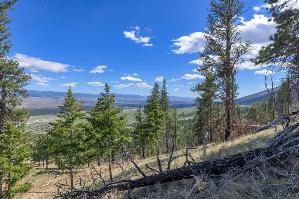 15100 Rock Ridge Road Florence MT 59833