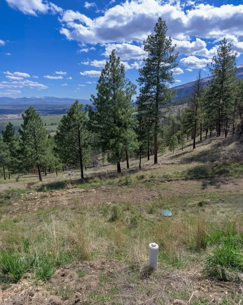 15100 Rock Ridge Road Florence MT 59833