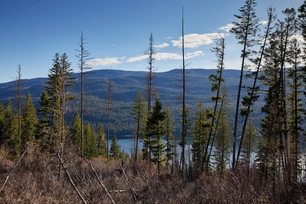 Nhn Swan Lake Overlook Bigfork MT 59911