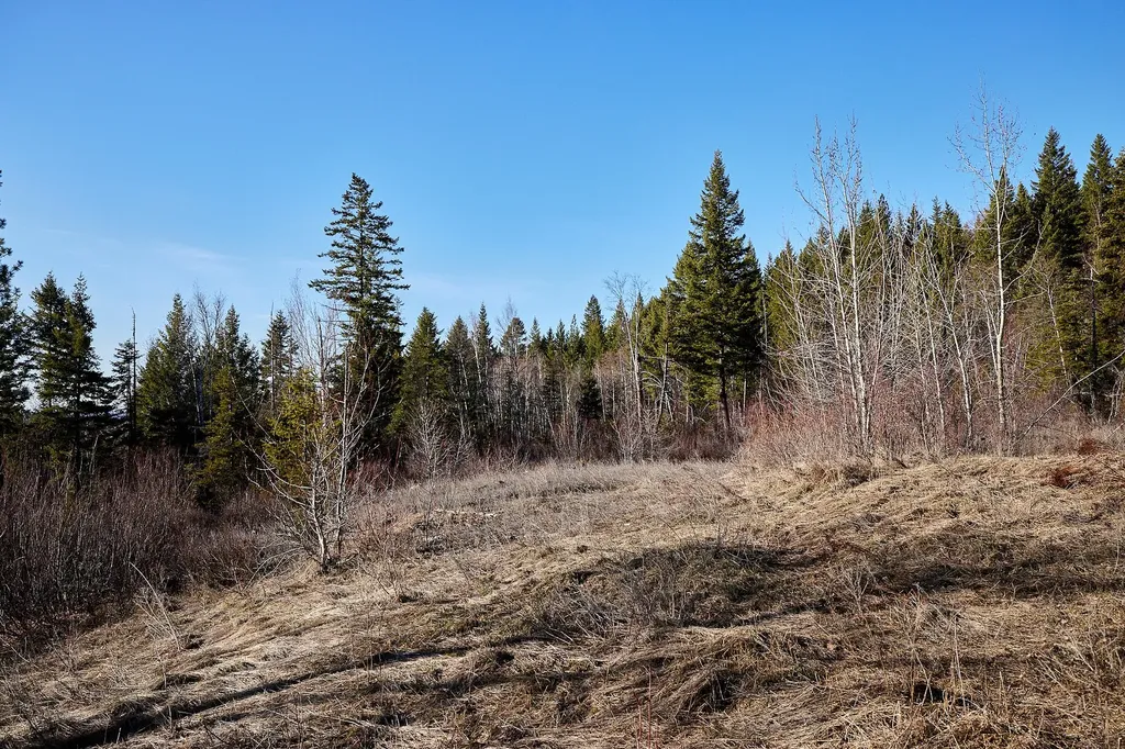Nhn Swan Lake Overlook Bigfork MT 59911