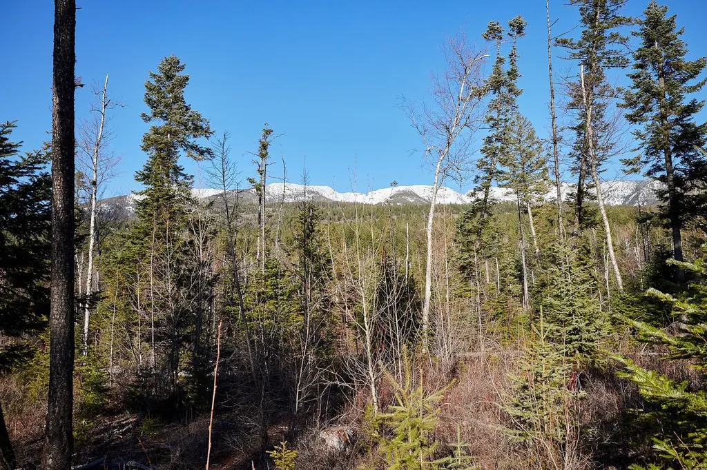 Nhn Swan Lake Overlook Bigfork MT 59911