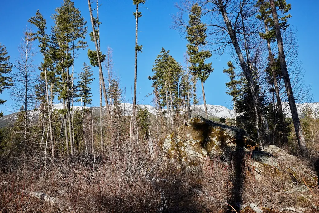 Nhn Swan Lake Overlook Bigfork MT 59911