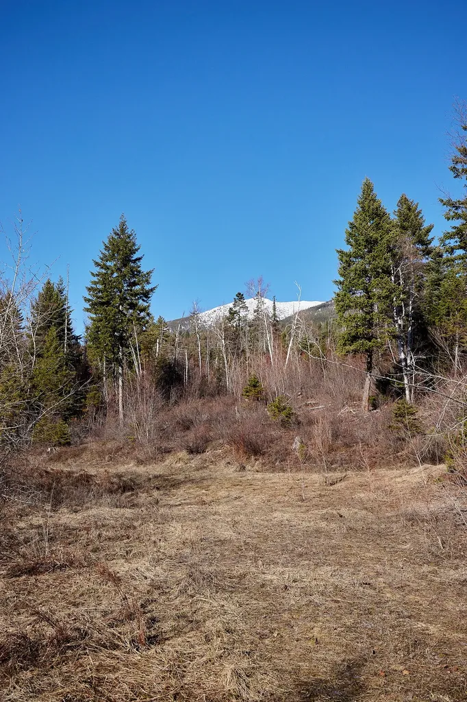 Nhn Swan Lake Overlook Bigfork MT 59911
