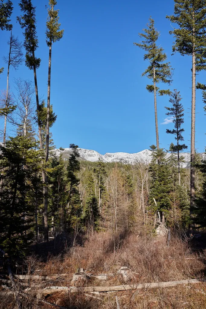 Nhn Swan Lake Overlook Bigfork MT 59911