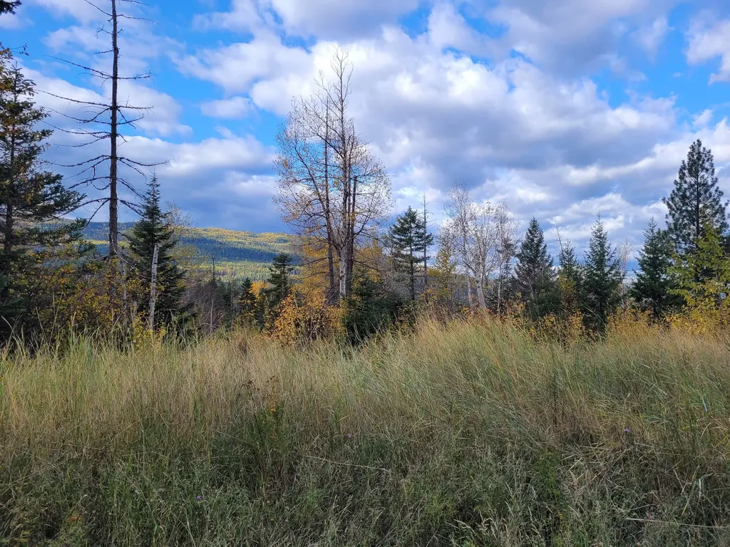 Nhn Swan Lake Overlook Bigfork MT 59911