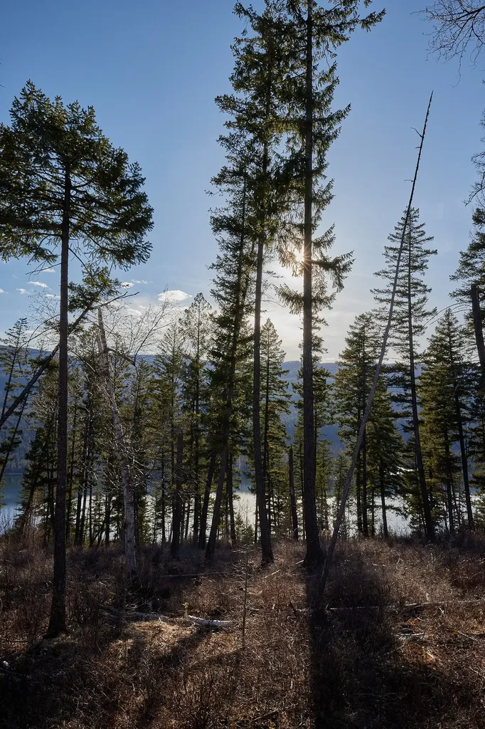 Nhn Swan Lake Overlook Bigfork MT 59911