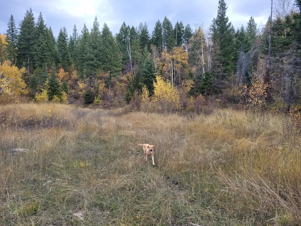 Nhn Swan Lake Overlook Bigfork MT 59911