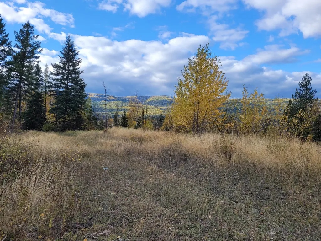 Nhn Swan Lake Overlook Bigfork MT 59911