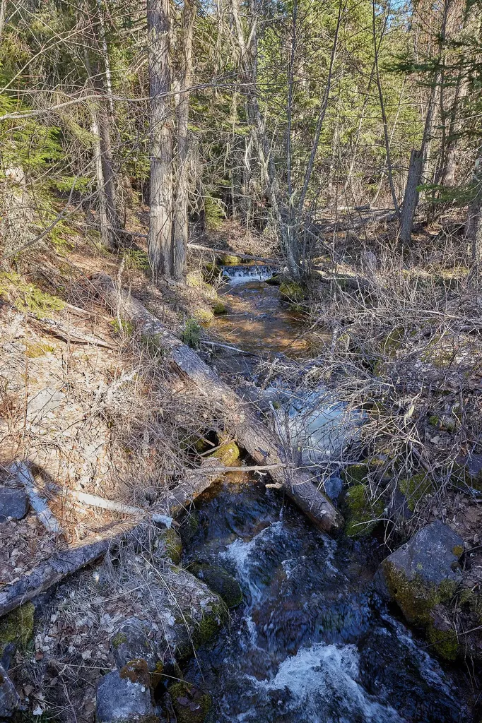 Nhn Swan Lake Overlook Bigfork MT 59911