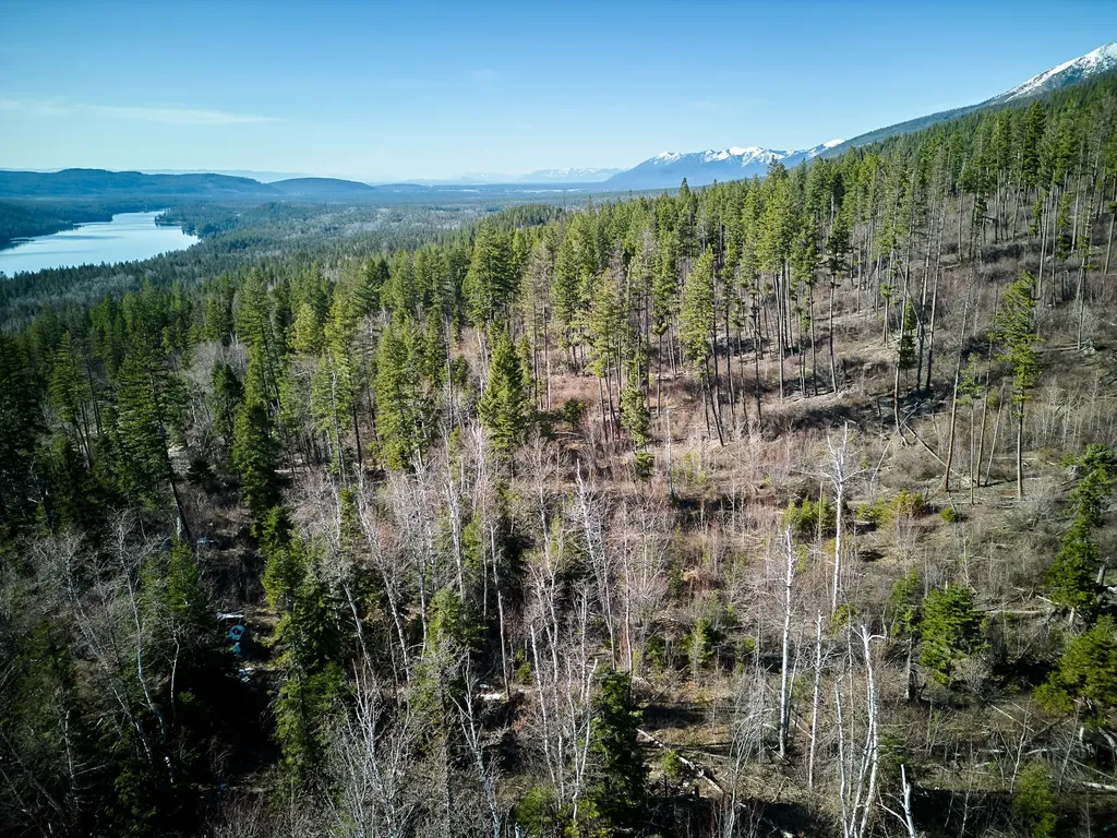 Nhn Swan Lake Overlook Bigfork MT 59911