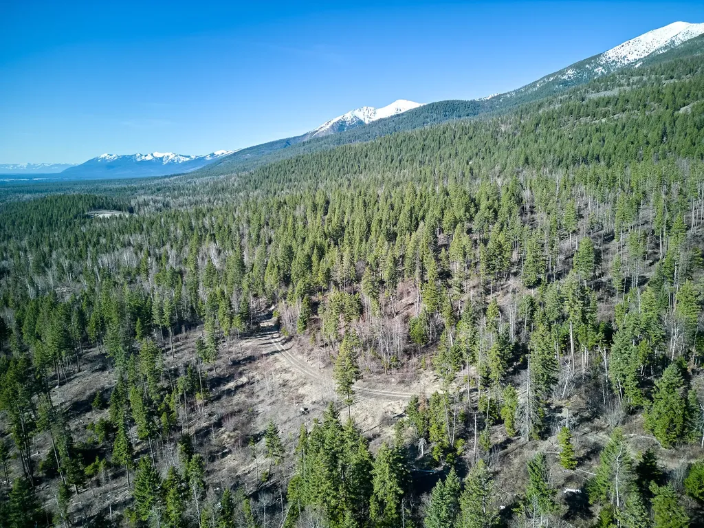 Nhn Swan Lake Overlook Bigfork MT 59911