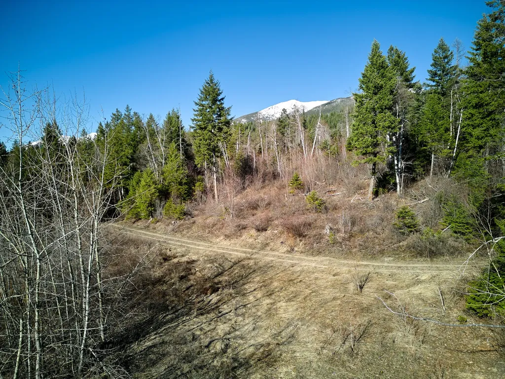 Nhn Swan Lake Overlook Bigfork MT 59911