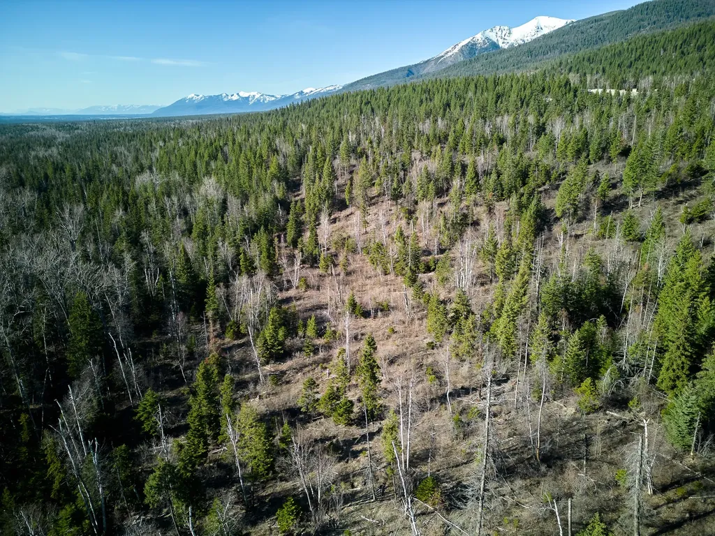 Nhn Swan Lake Overlook Bigfork MT 59911