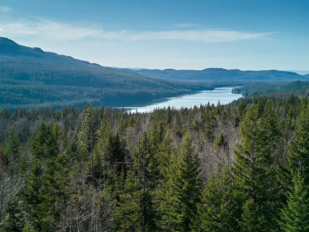 Nhn Swan Lake Overlook Bigfork MT 59911