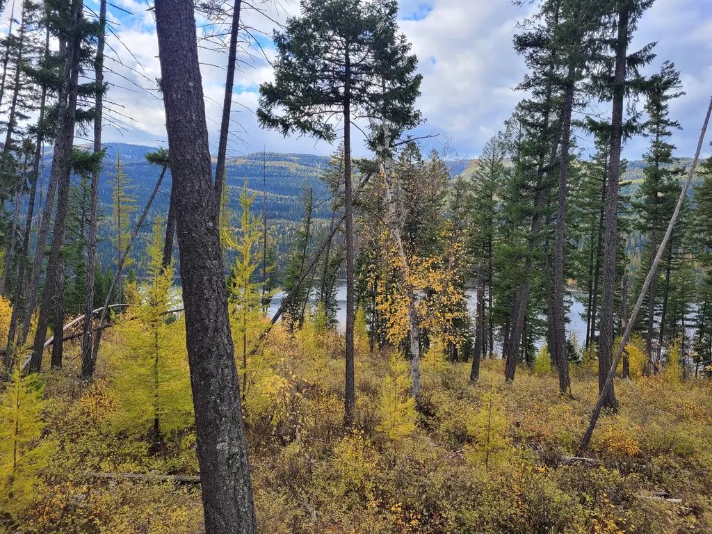Nhn Swan Lake Overlook Bigfork MT 59911