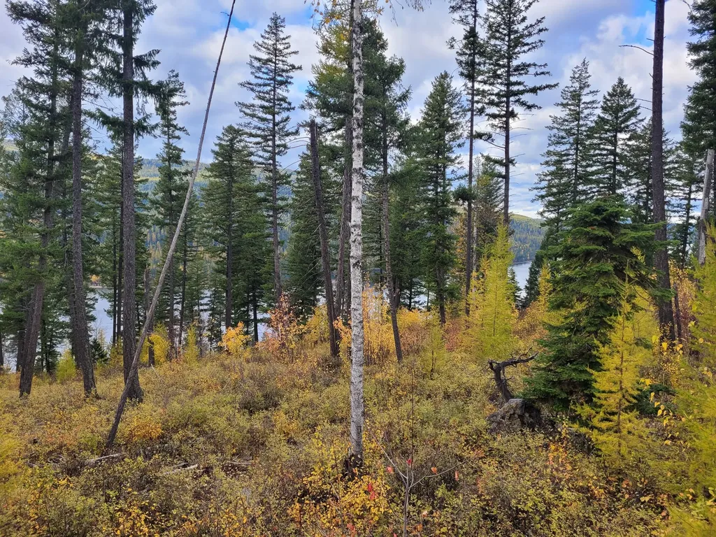 Nhn Swan Lake Overlook Bigfork MT 59911