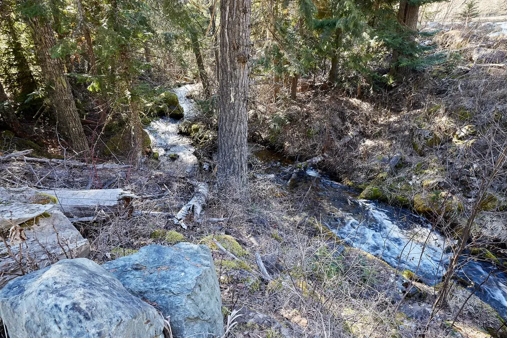Nhn Swan Lake Overlook Bigfork MT 59911