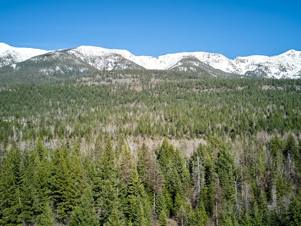 Nhn Swan Lake Overlook Bigfork MT 59911