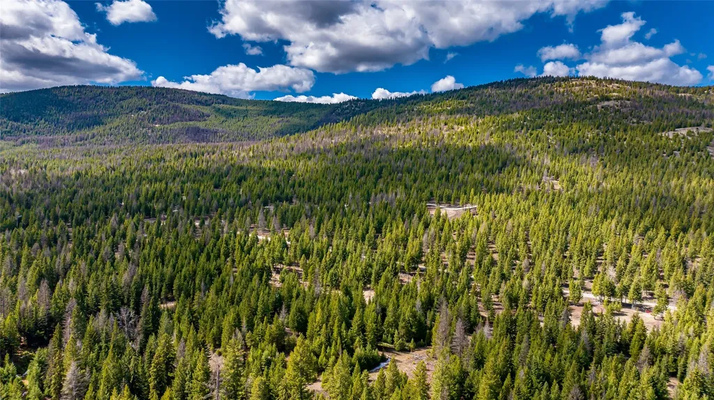 1583 Wild Bill Road Kila MT 59920