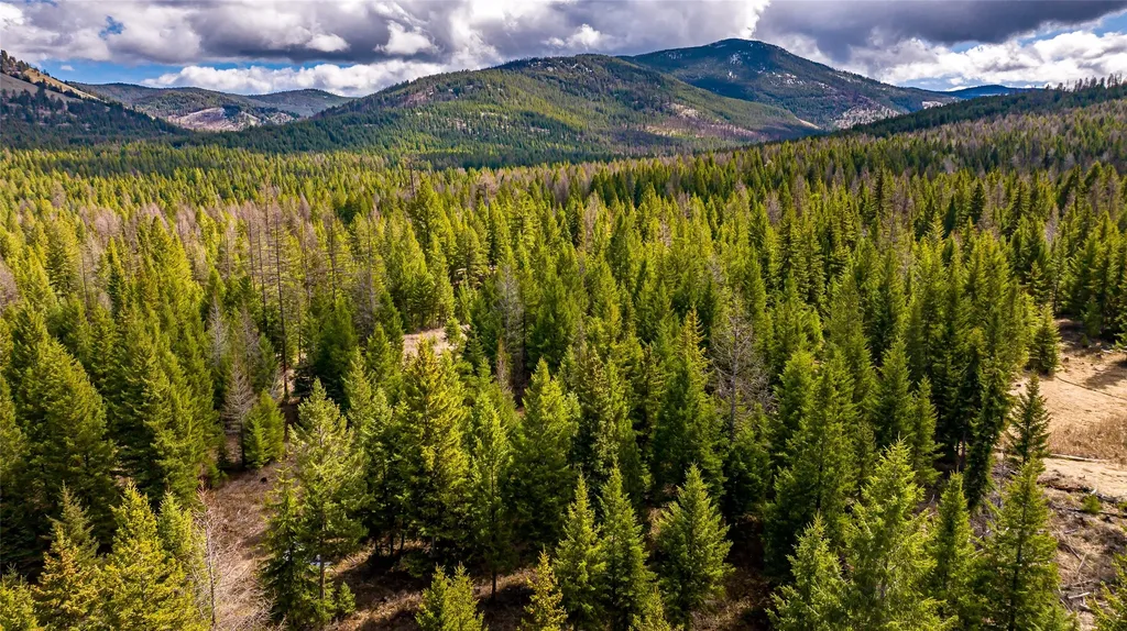 1583 Wild Bill Road Kila MT 59920
