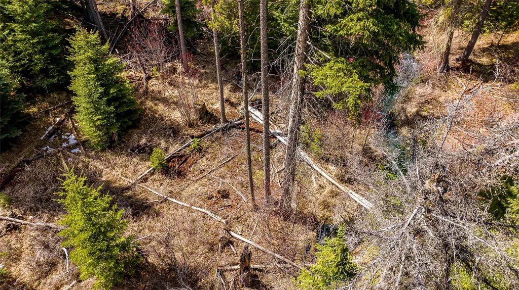 1583 Wild Bill Road Kila MT 59920