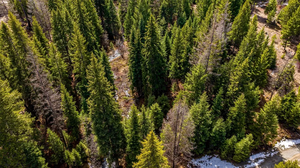 1583 Wild Bill Road Kila MT 59920